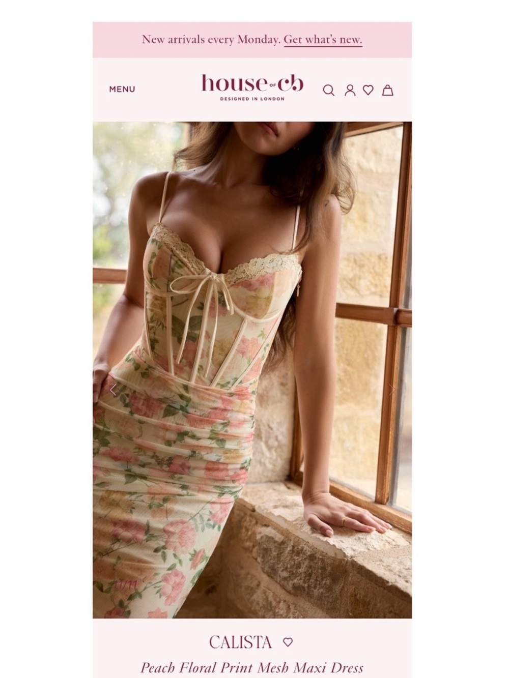 House of CB Cream Floral Lace Corset Slip Gown - Picture 3 of 16
